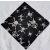Skull & bones bandana